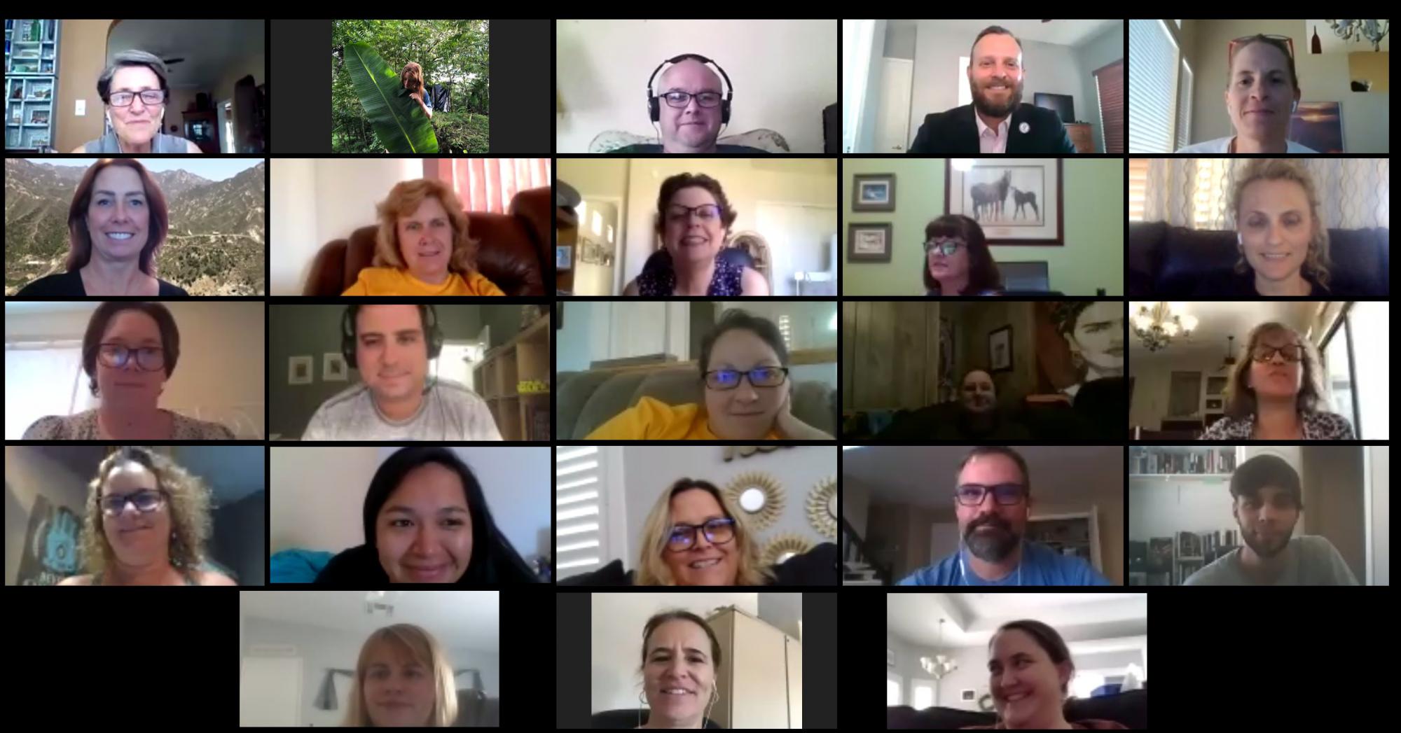 Screenshot of Zoom workshop meeting.
